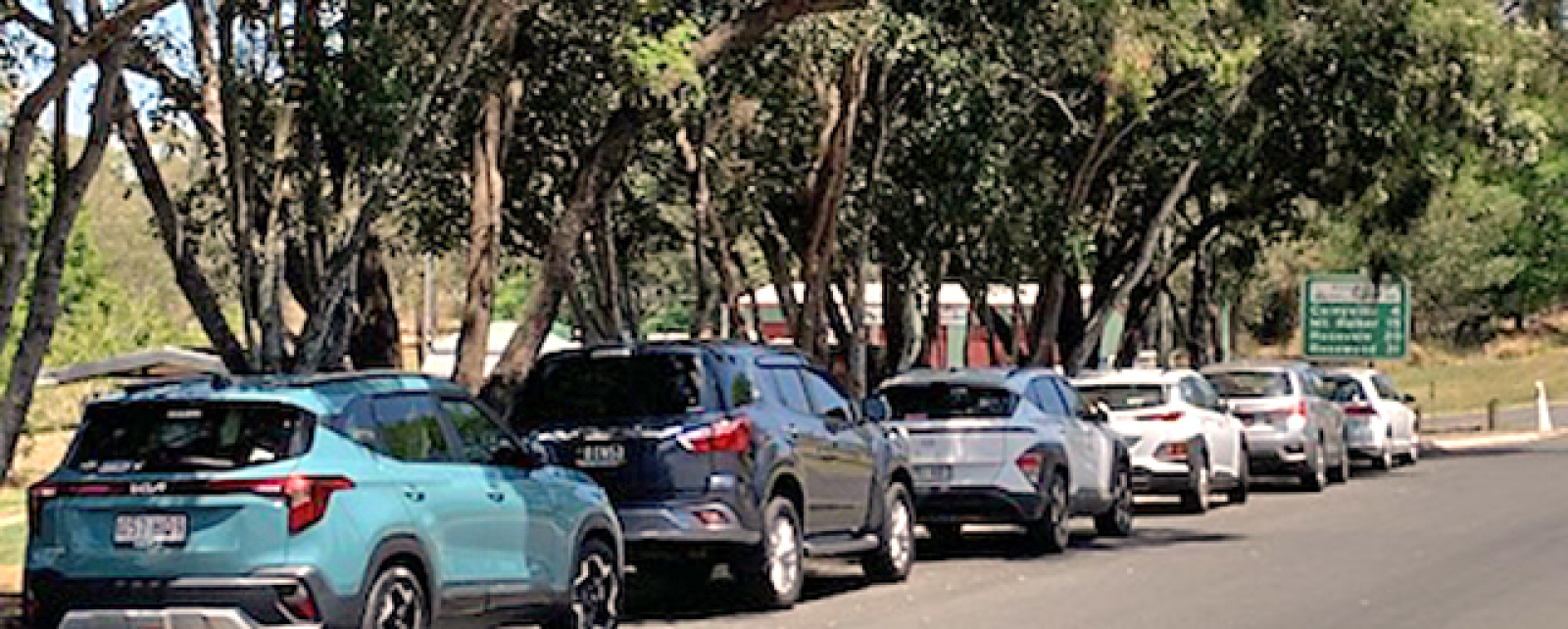 Members cars participating in the club observation run.